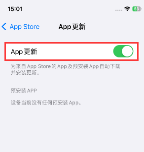 朔州苹果15维修中心如何让iPhone15APP自动更新