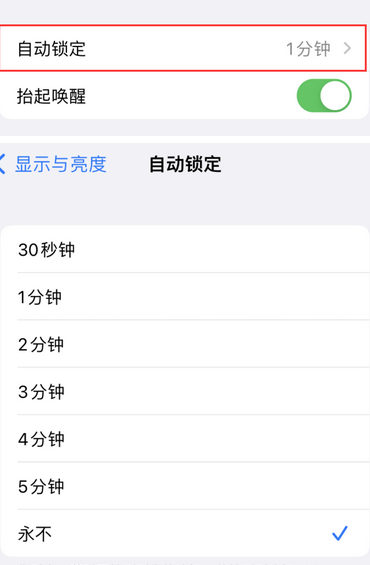 朔州苹果换屏维修分享无法调整iPhone自动锁屏的时间怎么办