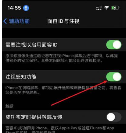 朔州苹果14维修网点分享iPhone14注视感知功能有什么用 